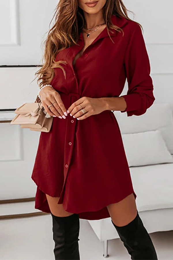 Casual Elegant Solid Buckle With Belt Turndown Collar Shirt Dress Dresses