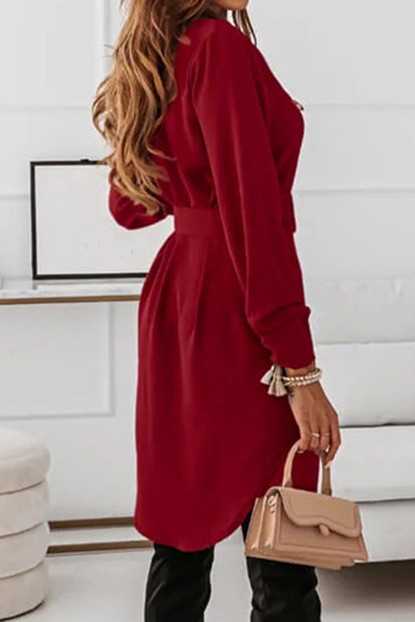 Casual Elegant Solid Buckle With Belt Turndown Collar Shirt Dress Dresses
