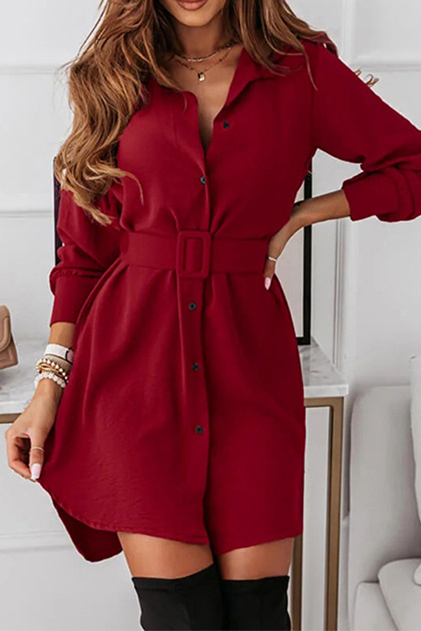 Casual Elegant Solid Buckle With Belt Turndown Collar Shirt Dress Dresses
