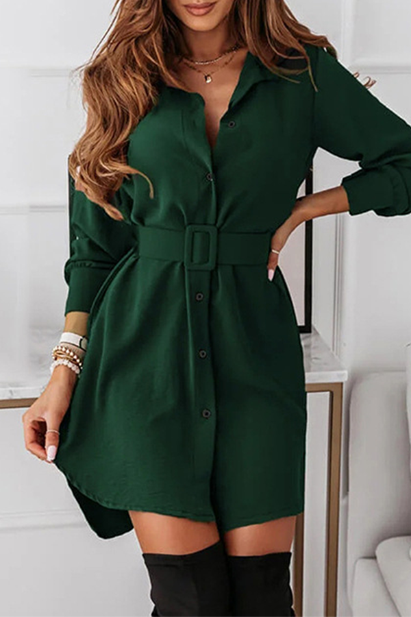 Casual Elegant Solid Buckle With Belt Turndown Collar Shirt Dress Dresses