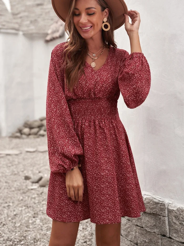 Women's Summer Fashion Lantern Sleeve A-Line Mini Dress