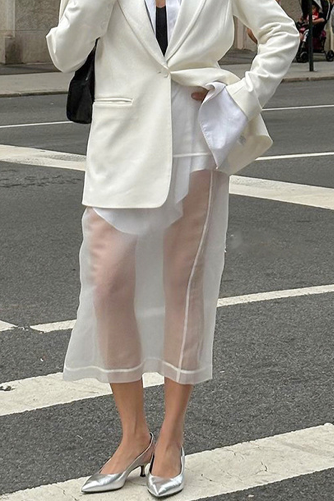 Sexy See-Through Zipper High Waist Skirt