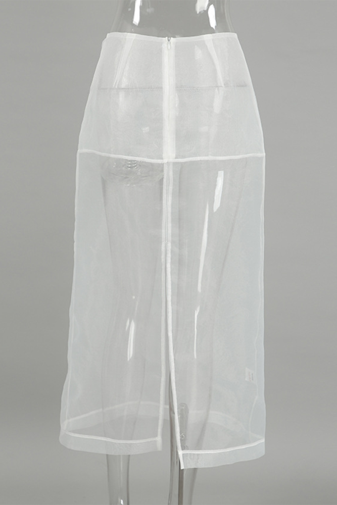 Sexy See-Through Zipper High Waist Skirt