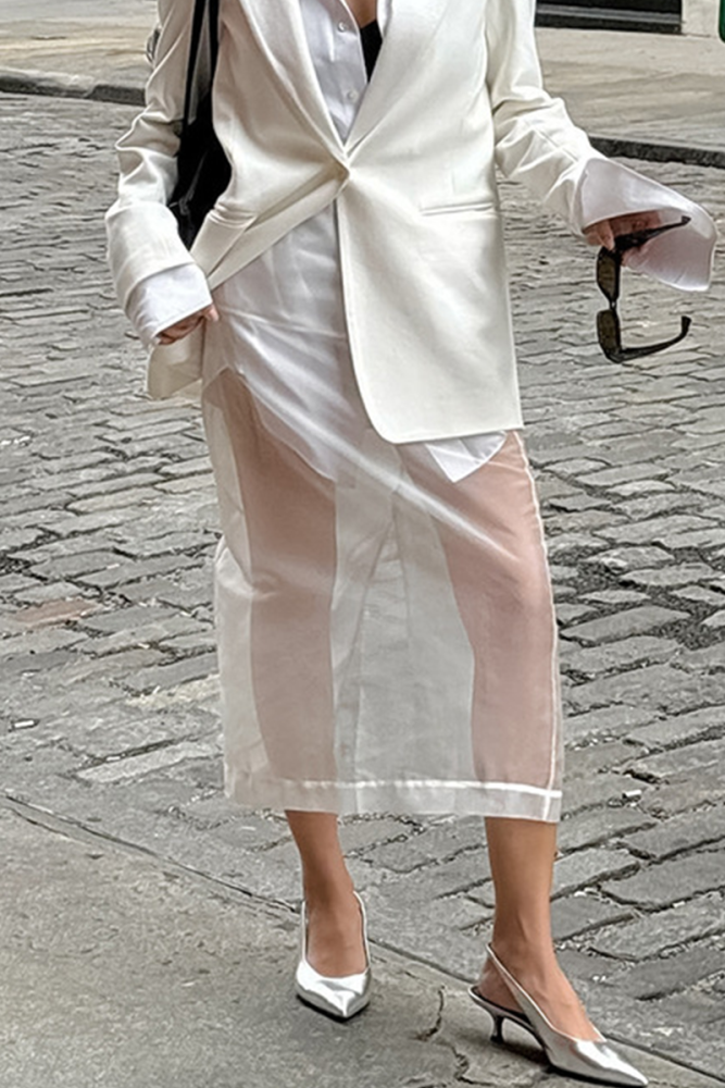 Sexy See-Through Zipper High Waist Skirt