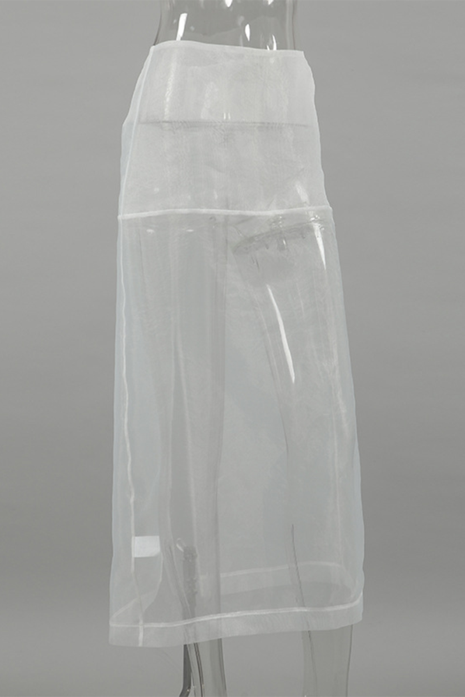 Sexy See-Through Zipper High Waist Skirt
