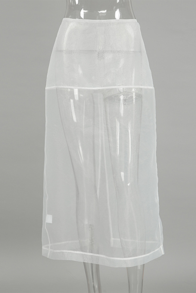 Sexy See-Through Zipper High Waist Skirt