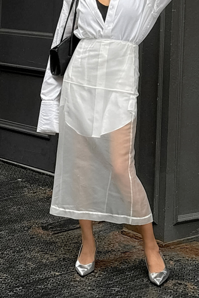 Sexy See-Through Zipper High Waist Skirt