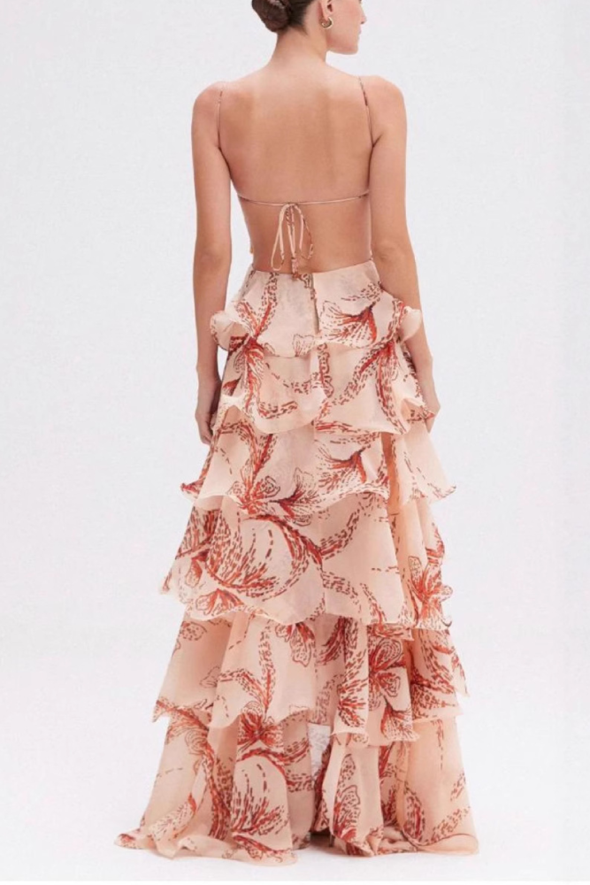 ✨Bohemian Butterfly Print Backless Maxi Dress✨