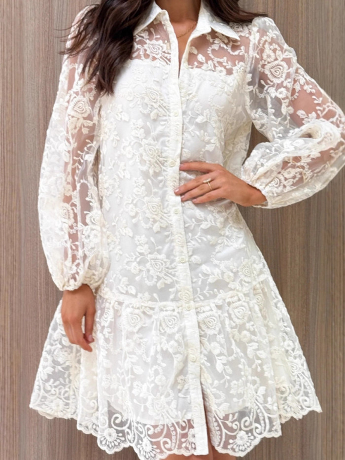 ✨Elegant Lace Embroidery Lapel A-Line Mini Dress✨