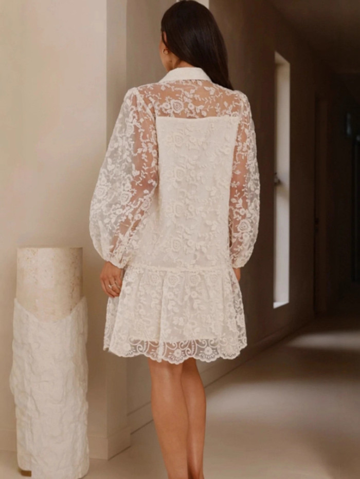 ✨Elegant Lace Embroidery Lapel A-Line Mini Dress✨