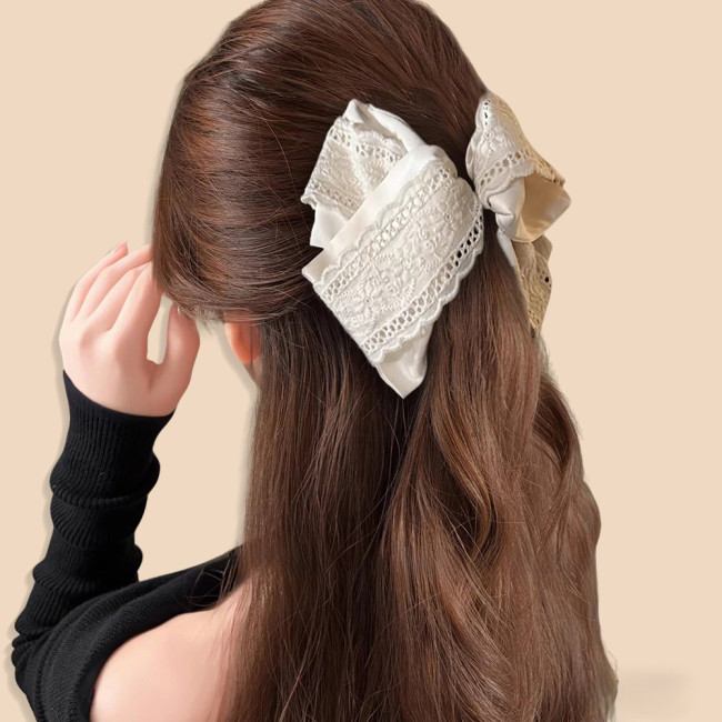 1pc AYLHFO Spring New Style White Embroidered Lace Trim Triangle Acrylic Hair Claw Clip, Women's Vintage Elegant White Lace Fabric Triangle Hair Clamp, Large Non-Slip Shark Clip, Suitable for Daily and Holiday Party Wear