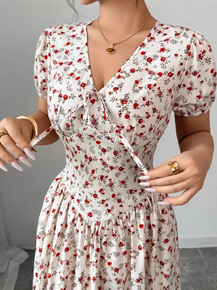 Floral Print V Neck Short Sleeve High Waist Pleated A-Line Swing Dress | Elegant Party Women Dress
