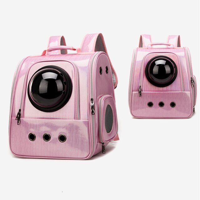 Portable and foldable pet backpack