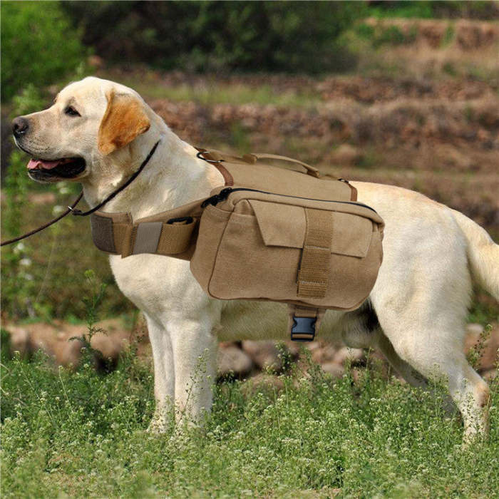 Washed Canvas Breathable Pet Backpack