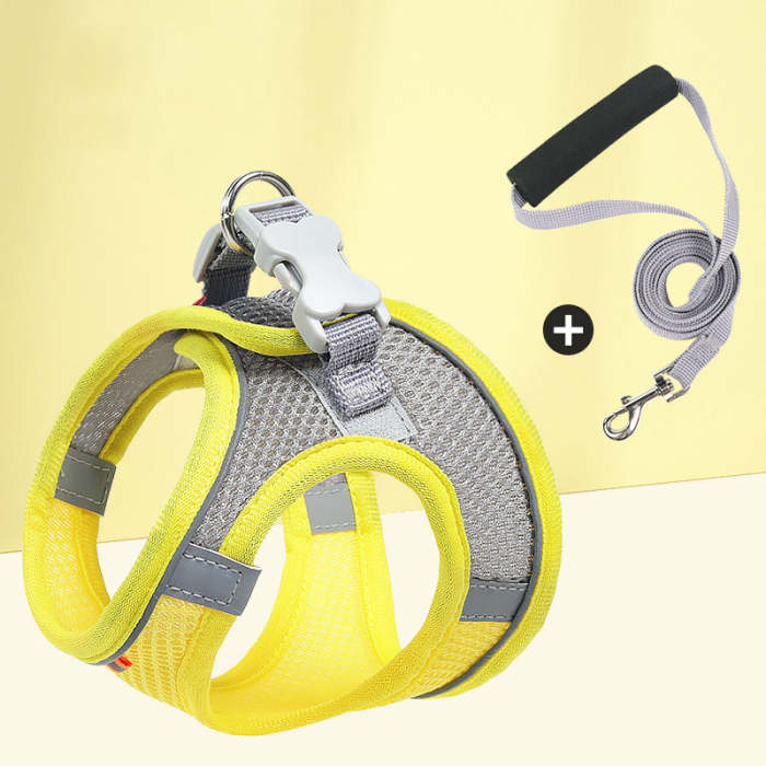 Pet outing harness