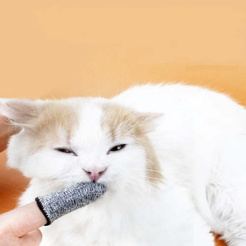 Dog tooth mouth cleaning tool cat dog finger toothbrush