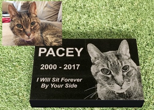 engraved-photographic-granite-pet-memorial-with-5-polished-edges
