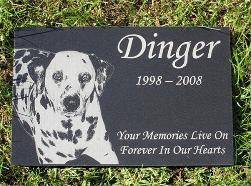 engraved-photographic-granite-pet-memorial