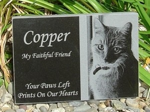 engraved-photographic-granite-pet-memorial
