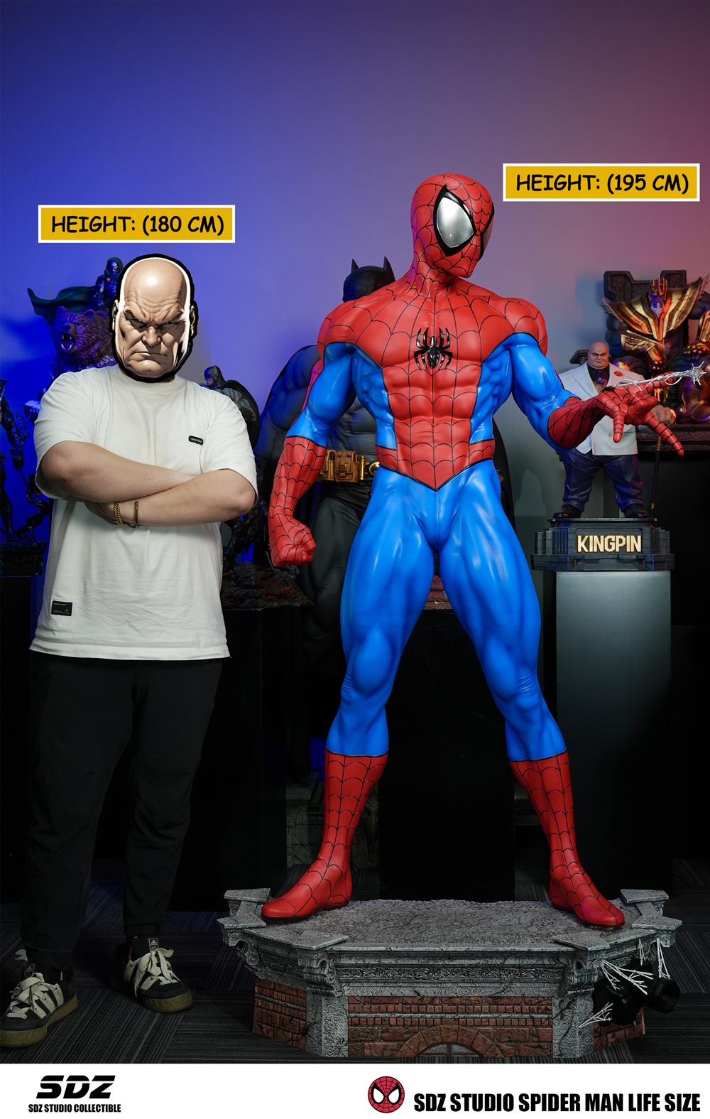 スターミー&ヒトデマン スターミー | ポケモンカードゲーム公式ホームページ