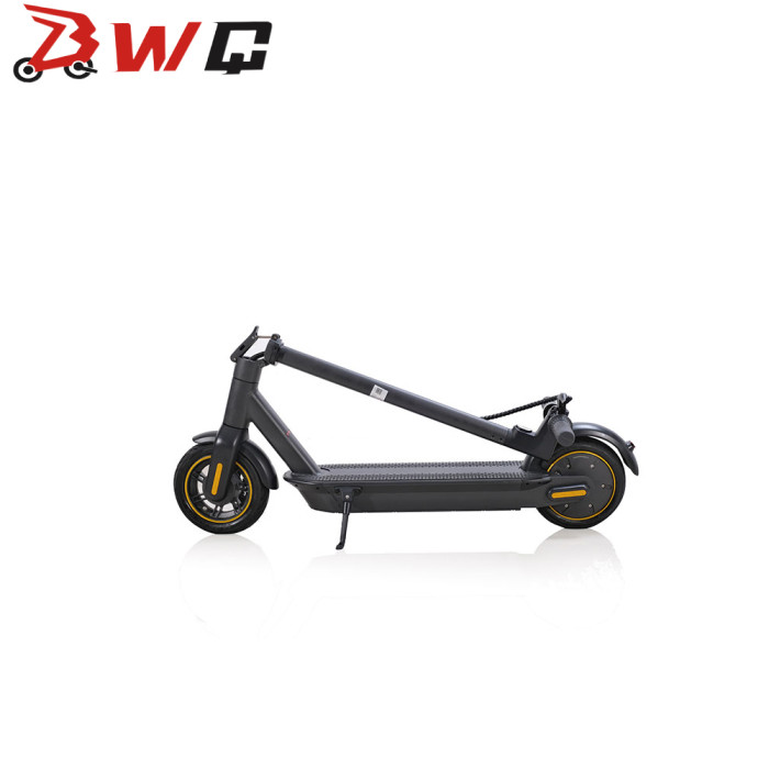 WQ-T4 MAX 10 inch electric scooter