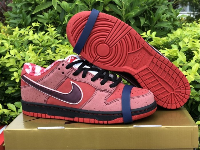 Free shipping from maikesneakers Nike SB Dunk Low Sb Lobster 313170-661