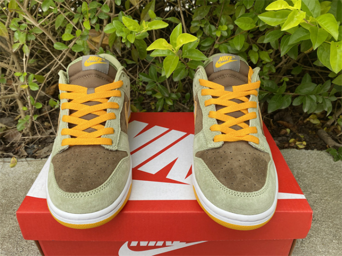Free shipping from maikesneakers Nike SB Dunk Low SE Dusty Olive DH5360-300