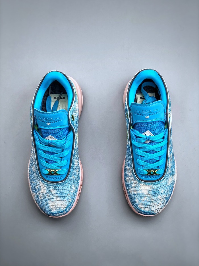 Nike lebron  XX lmtd EP  (maikesneakers)
