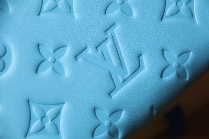 L*ouis V*uitton  Top Bag (maikesneakers)