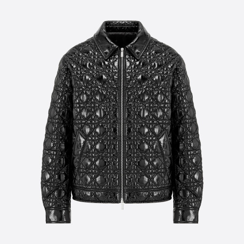 Dior NIGO Leather Zipper Jacket #nigo3421