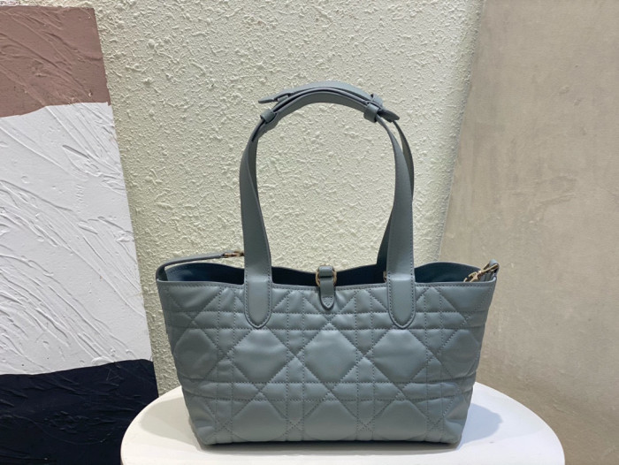 Dior TOUJOURS Rectangular Portable Bag #nigo21787