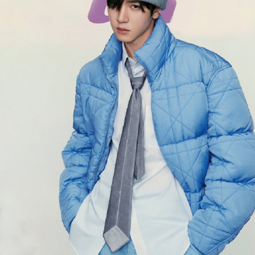 NIGO Dior Men's Autumn And Winter Fashion Trend Casual Zipper Stand Up Collar High Street Down Jacket Blue And Black Ngvp #nigo7327