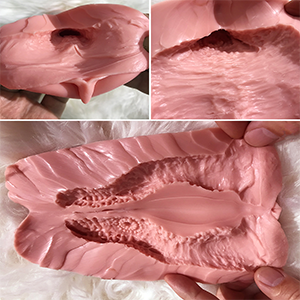 Replacement Vagina Insert