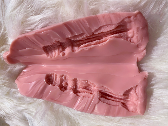 Mona(oral+anal function) - Gynoid Silicone Sex Doll Model 20 163cm 5'4''