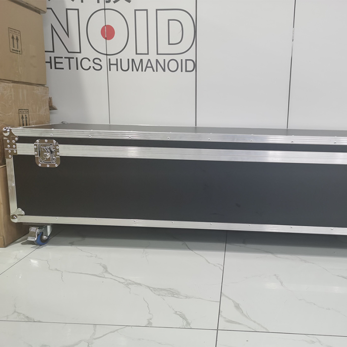 Gynoid Body14/160cm/5’3’’