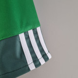 2010-2011 Palmeiras Third Retro Soccer Jersey