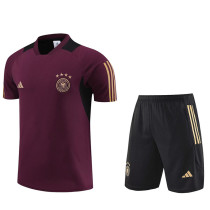 2023-24 Germany Reddish brown Training Short Suit