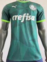 2023-24 Palmeiras Home Player Version Soccer Jersey