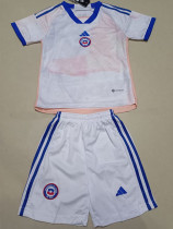 2023-24 Chile White Pink Kids Soccer Jersey