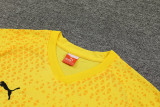 2023-24 Dortmund Yellow Training Short Suit