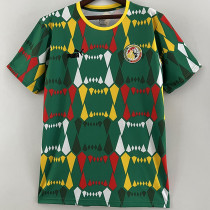 2023-24 Senegal Green Fans Soccer Jersey