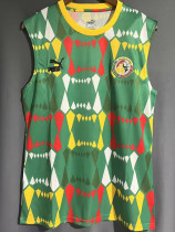2023-24 Senegal Green Vest