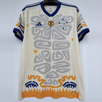 2023-24 Cruzeiro Cream Color 1:1 Special Edition Training shirts