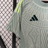 2024-25 Mexico Away 1:1 Fans Soccer Jersey