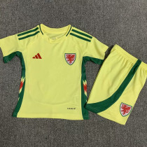 2024-25 Wales Away Kids Soccer Jersey