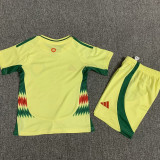 2024-25 Wales Away Kids Soccer Jersey