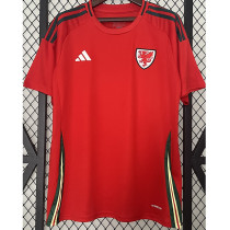2024-25 Wales Home Fans Soccer Jersey