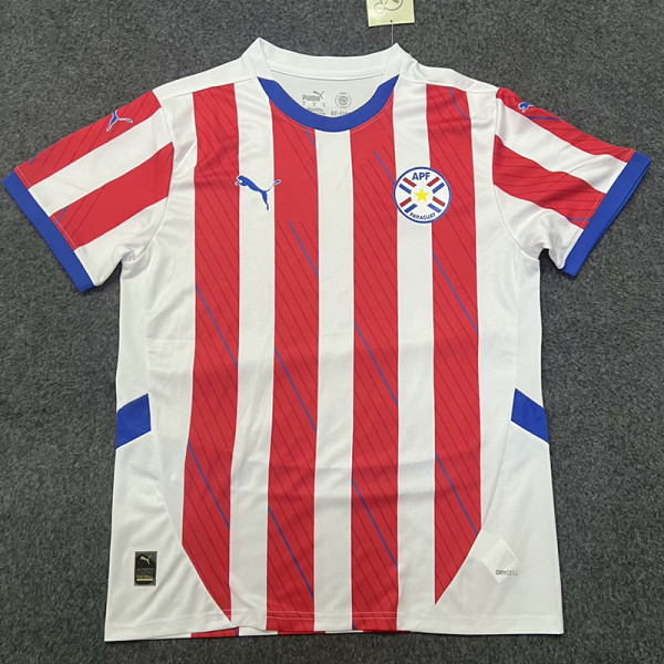 2024-25 Paraguay Home Fans Soccer Jersey