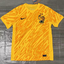 2024-25 France Yellow GoalKeeper Soccer Jersey