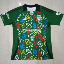 2024-25 Tigres UANL Green Limited Edition Fans Soccer Jersey